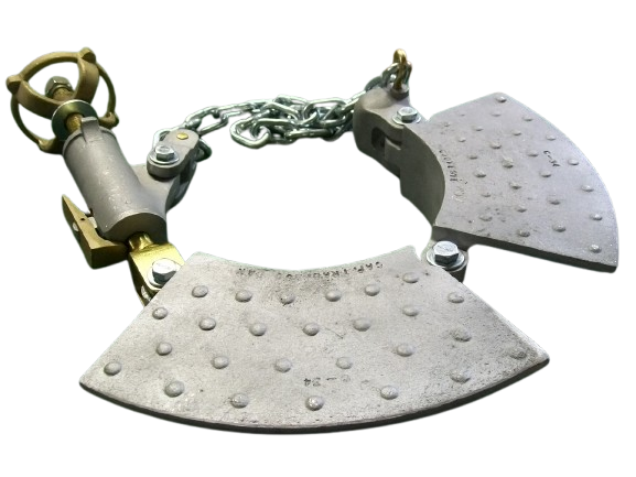 Sela Plataforma